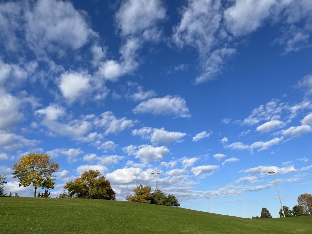 a green field with trees and clouds in the sky