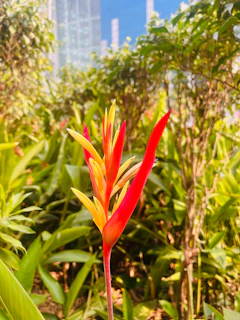 Close-up of a vibrant tropical flower blending with digital interface elements symbolizing tech and nature.