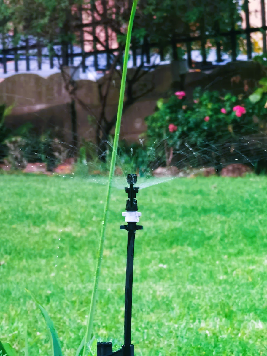 Adjustable sprinkler spraying water on a green lawn