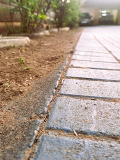 A close-up view of a paved pathway with rectangular stone tiles partially covered in dirt. The path leads towards a driveway with parked cars visible in the background. Green plants and bushes line the path on one side.