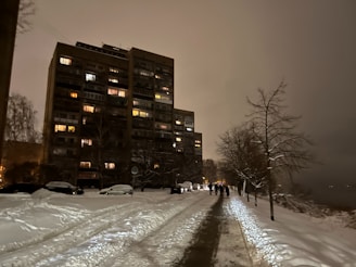 City street edges cleared from snow with buildings and trees in the background.