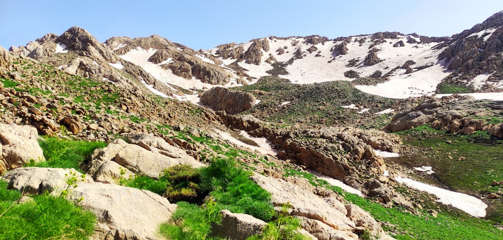 uma vista de uma montanha rochosa com plantas verdes crescendo sobre ela