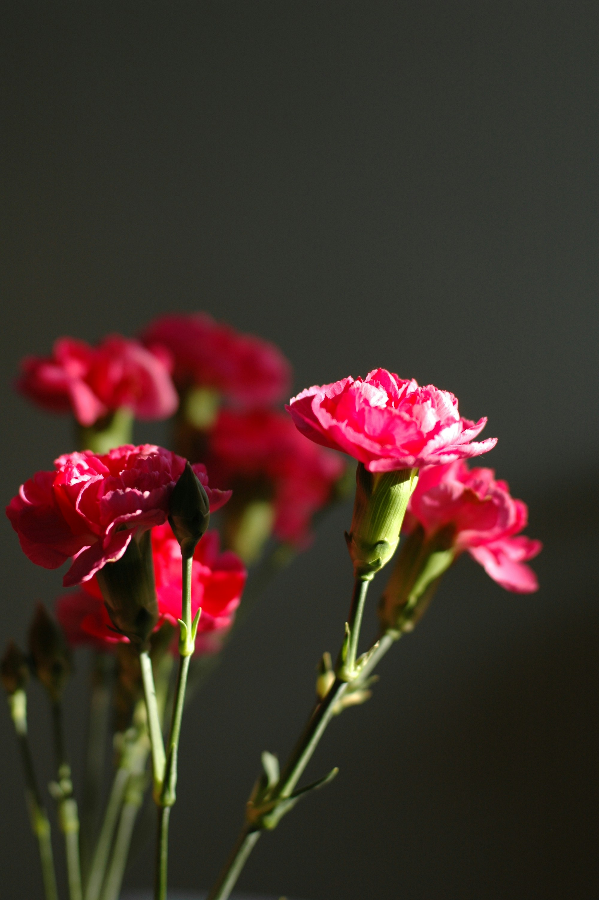 Photo by grape_juice