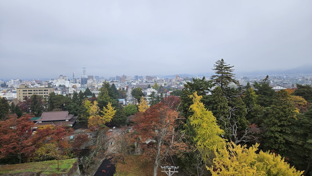 a view of a city from a hill