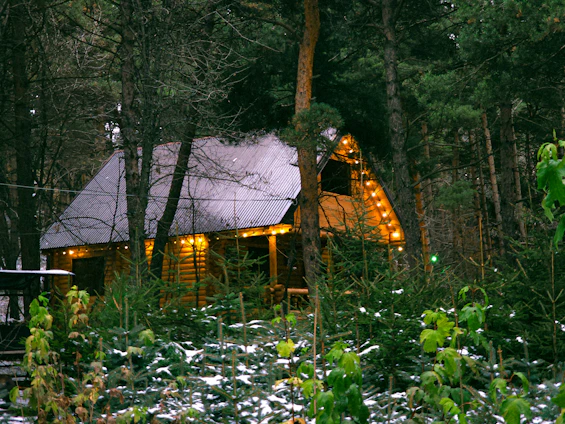 Cozy rustic cabin nestled among tall pine trees with warm lights glowing from the windows at dusk.