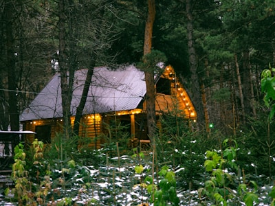 A cozy wooden cabin nestled among tall evergreen trees in a forested area. The cabin is warmly lit with string lights and has a sloped roof. The ground is lightly dusted with snow, and there is dense foliage surrounding the cabin.