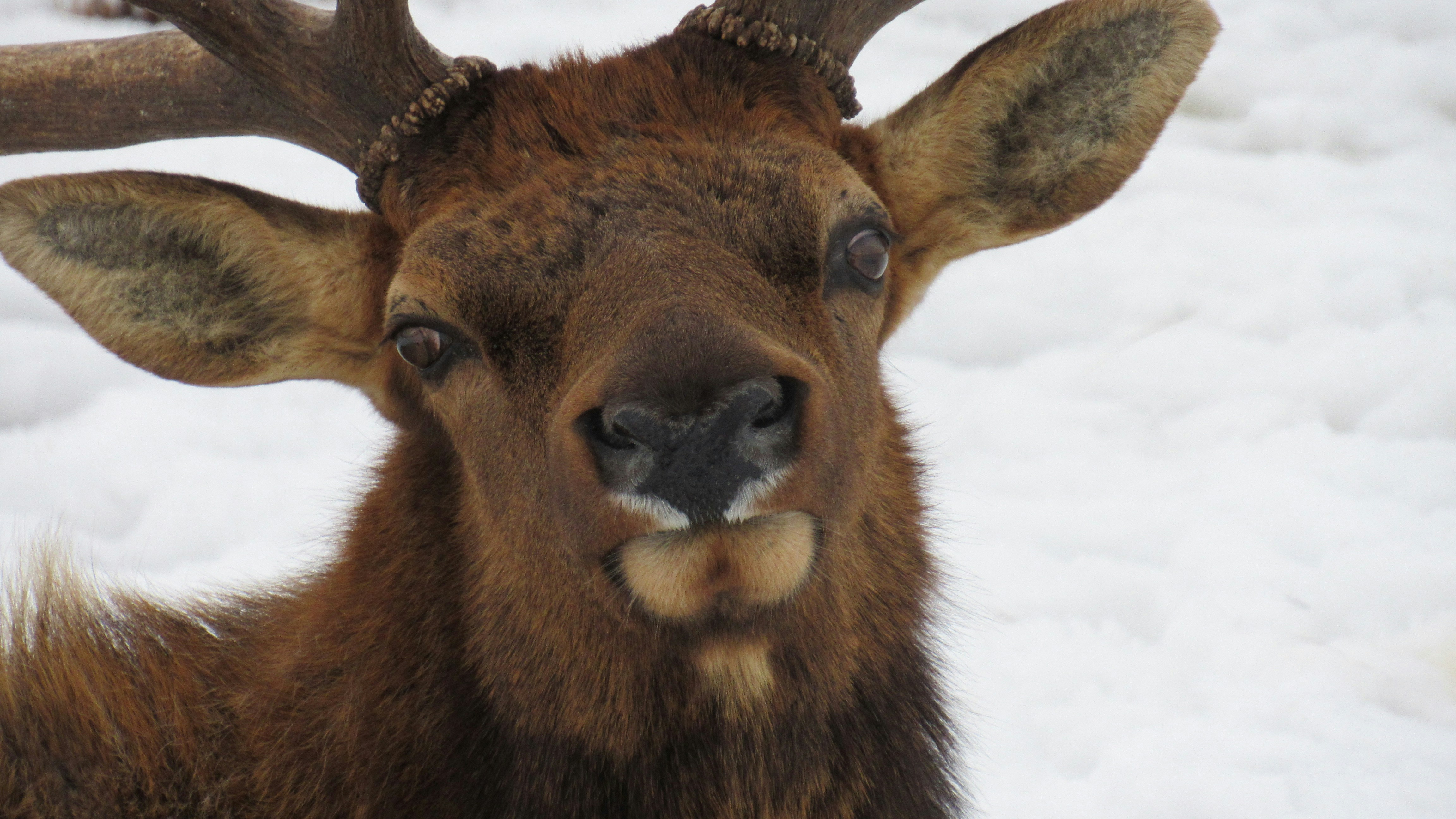 Photo by judy_beth_morris_idaho