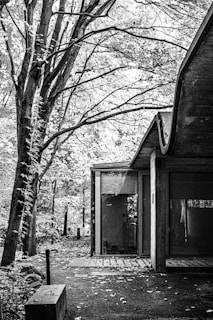 A black and white image featuring a modern, minimalist building with large glass windows. It is set amidst a densely wooded area with tall trees and abundant foliage. The ground is covered with fallen leaves, adding texture to the scene. The architectural design showcases clean lines and a wavy roof.