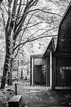 A black and white image featuring a modern, minimalist building with large glass windows. It is set amidst a densely wooded area with tall trees and abundant foliage. The ground is covered with fallen leaves, adding texture to the scene. The architectural design showcases clean lines and a wavy roof.