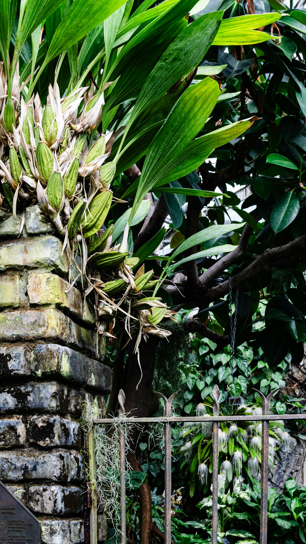 a brick wall with a metal fence surrounding it