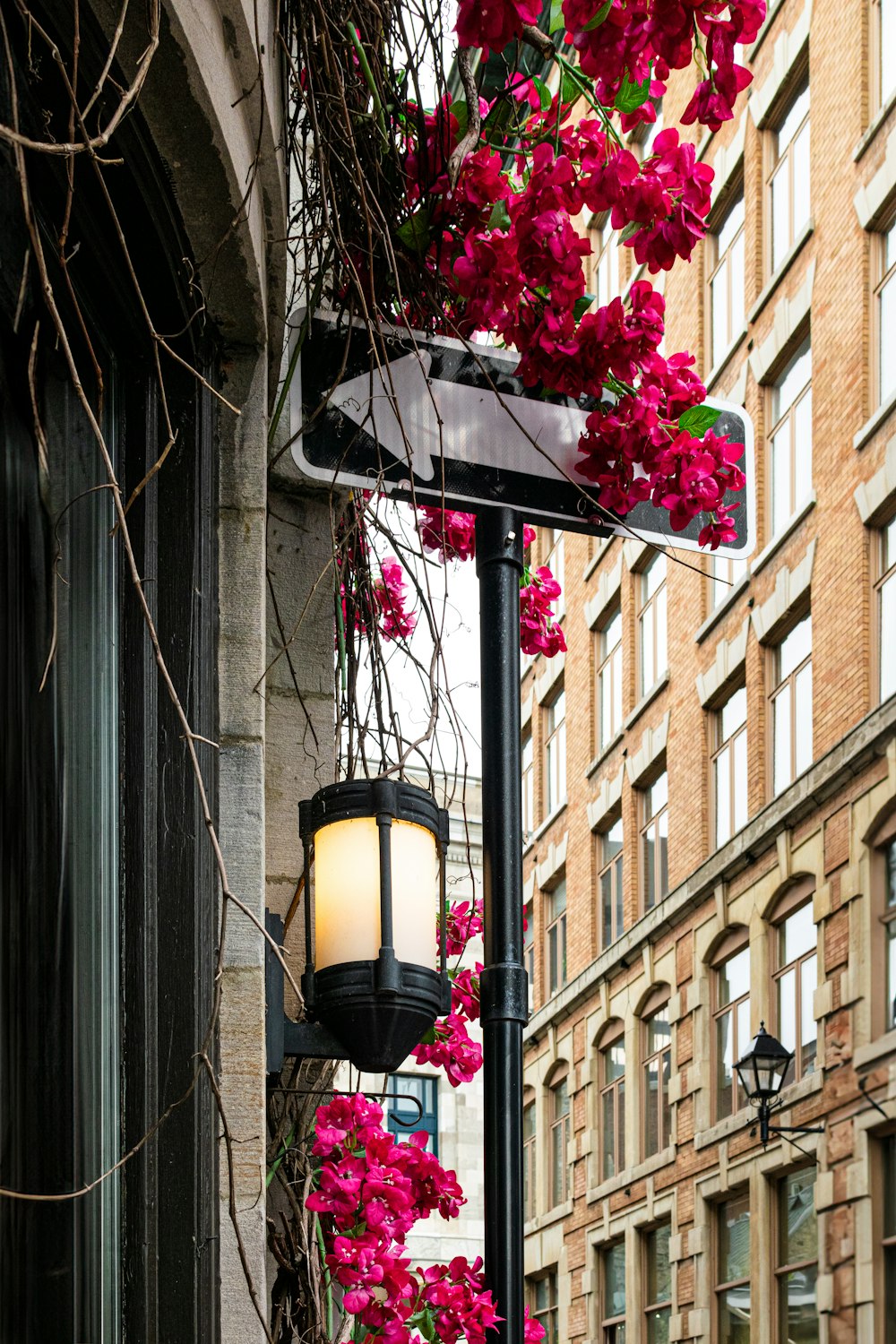 a lamp post with flowers hanging from it