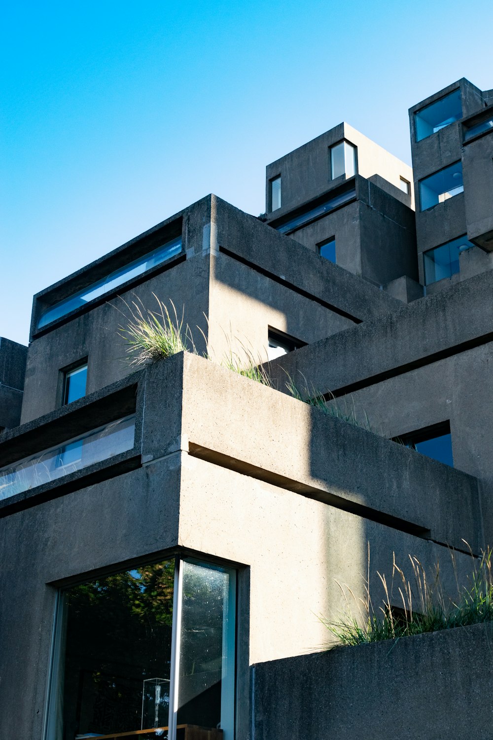 a tall building with grass growing on the top of it