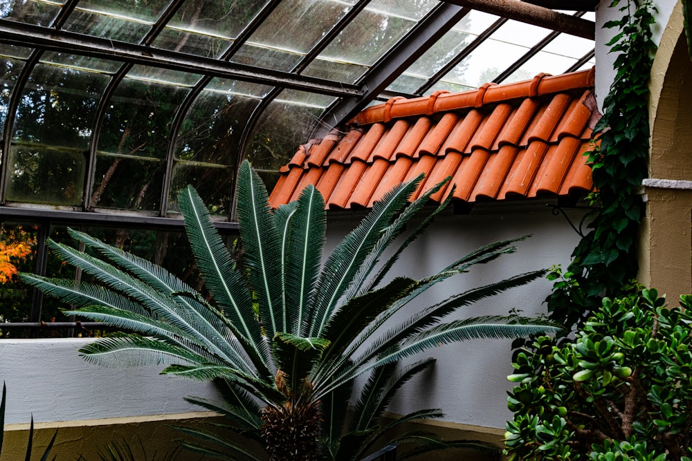 an orange tiled roof in a green house
