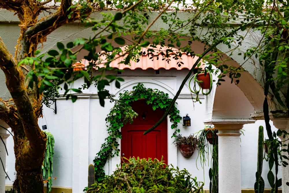 a white house with a red door surrounded by greenery