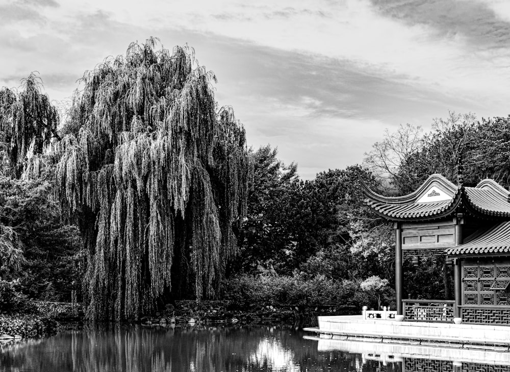 a black and white photo of a pond in a park