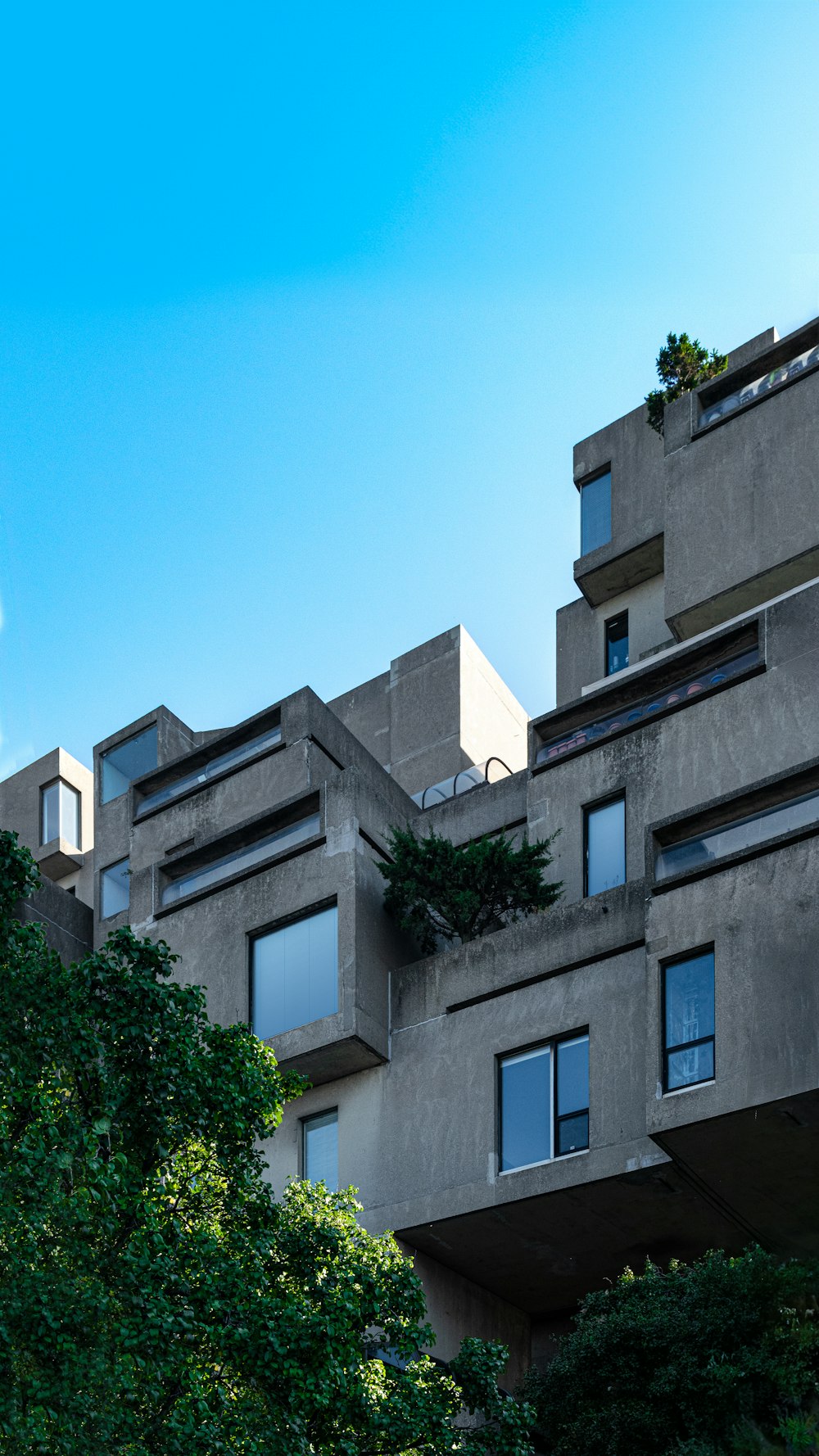 a tall building with lots of windows next to trees