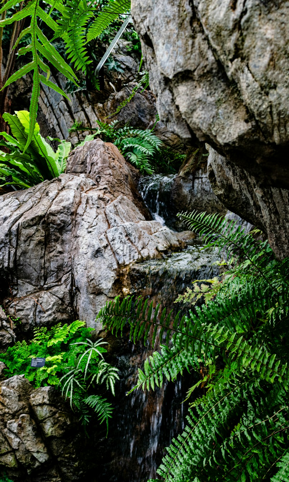 a small waterfall in the middle of a forest