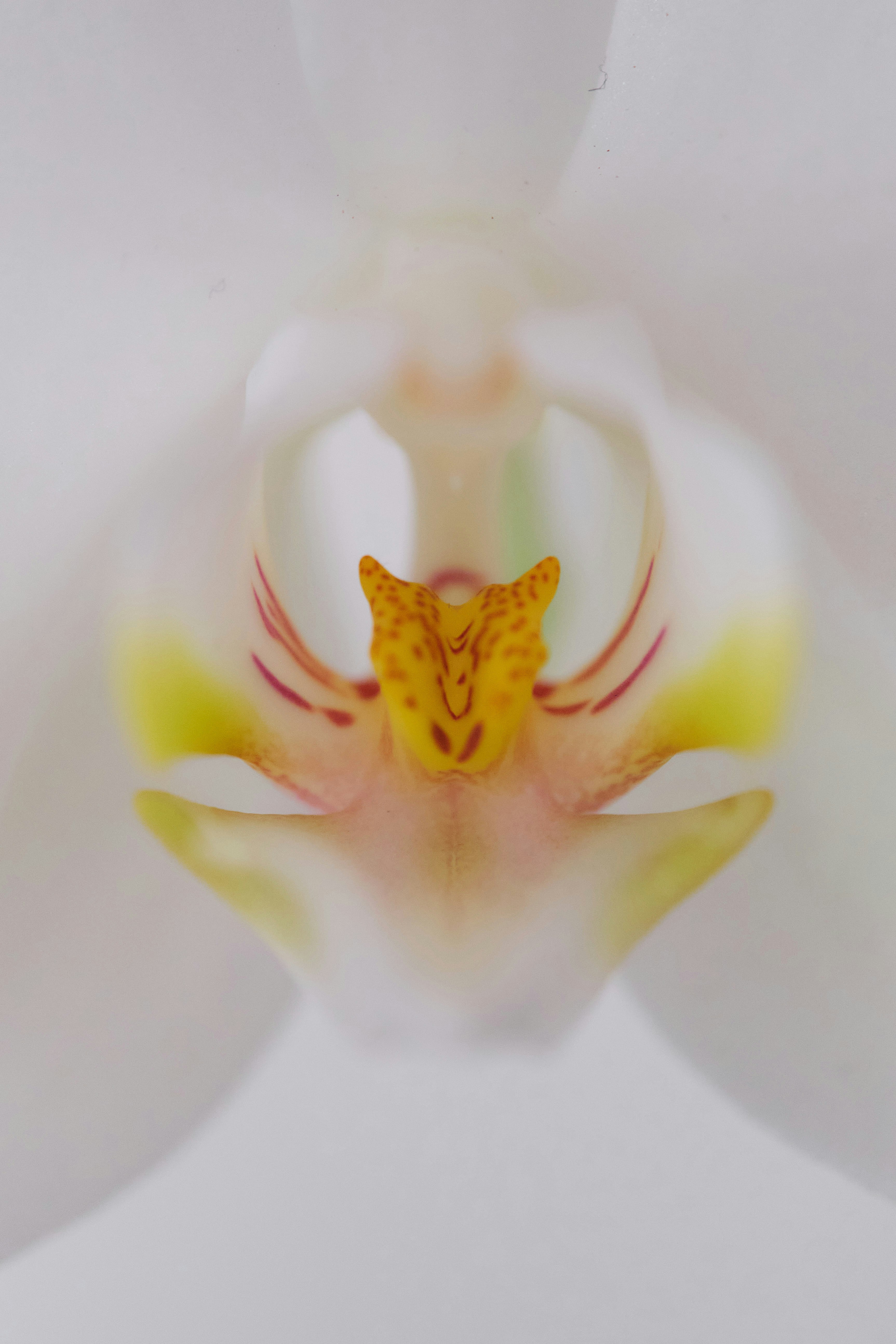 "Amari Orchid Resort"