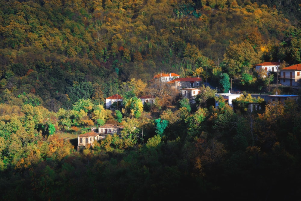 a small village nestled on a hillside surrounded by trees