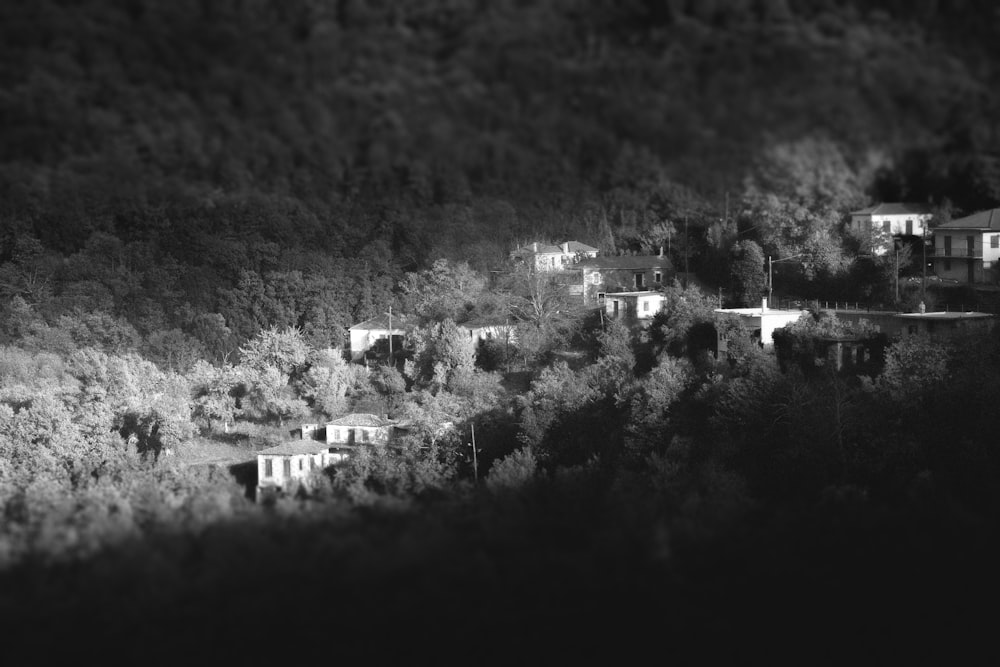 Una foto en blanco y negro de casas en una colina