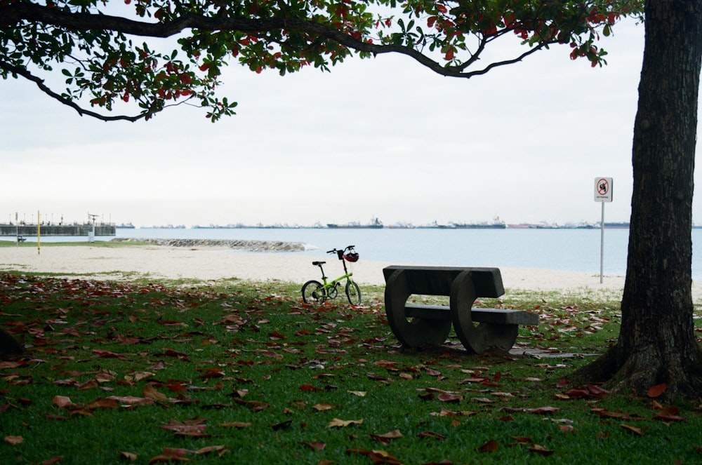 a bike parked next to a bench near a tree