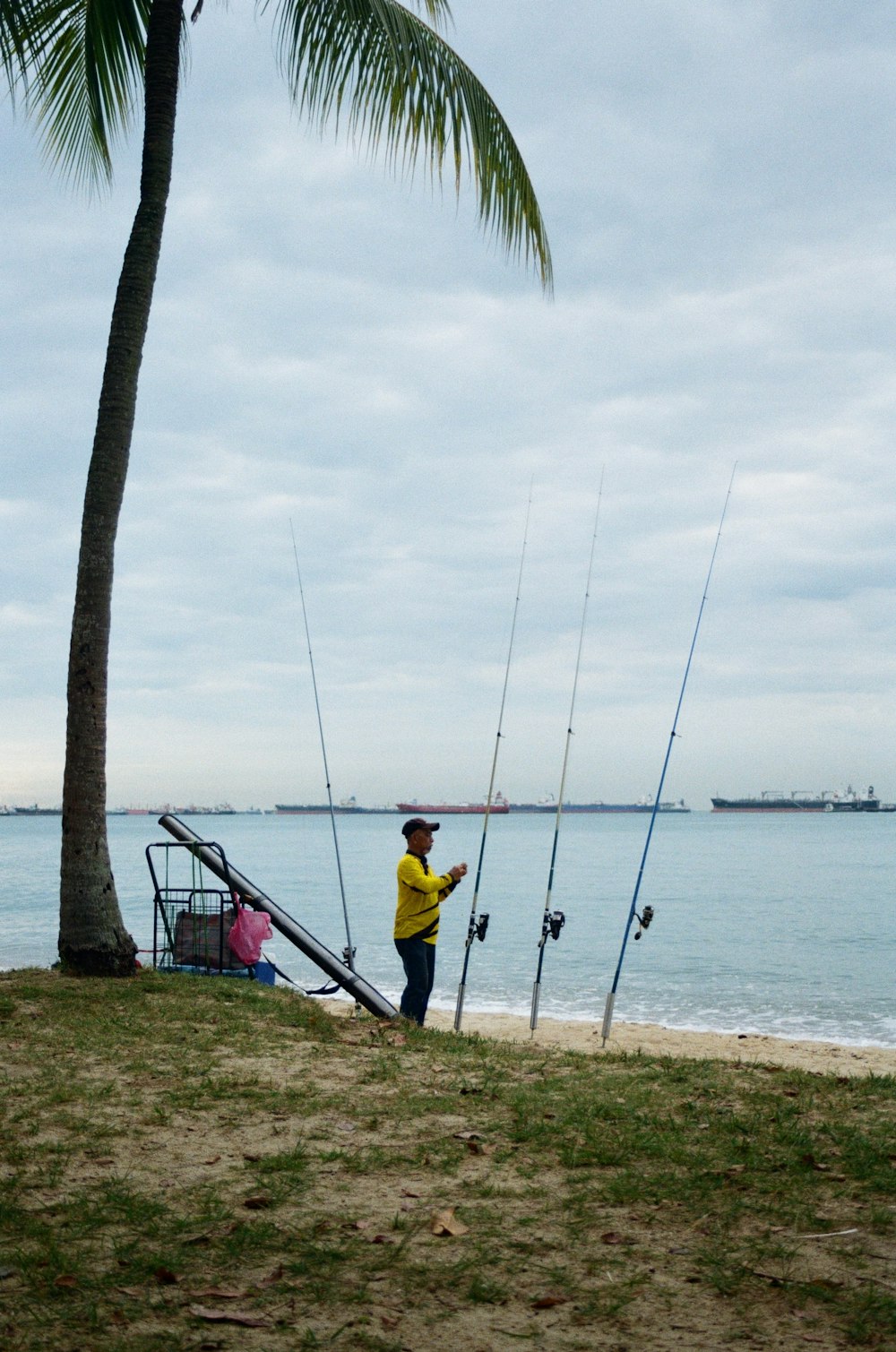 a man standing on a beach next to a palm tree