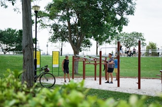 A park scene with outdoor fitness equipment and several people exercising. One person is using the horizontal bars while another stands nearby. A bicycle is parked against a tree, and there are informational signs in the background. Trees and grass surround the area, with picnic spot and a group of people in the distance.
