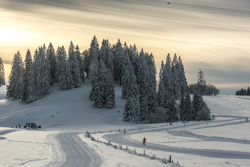 a snow covered hill with trees and a person on a snowboard