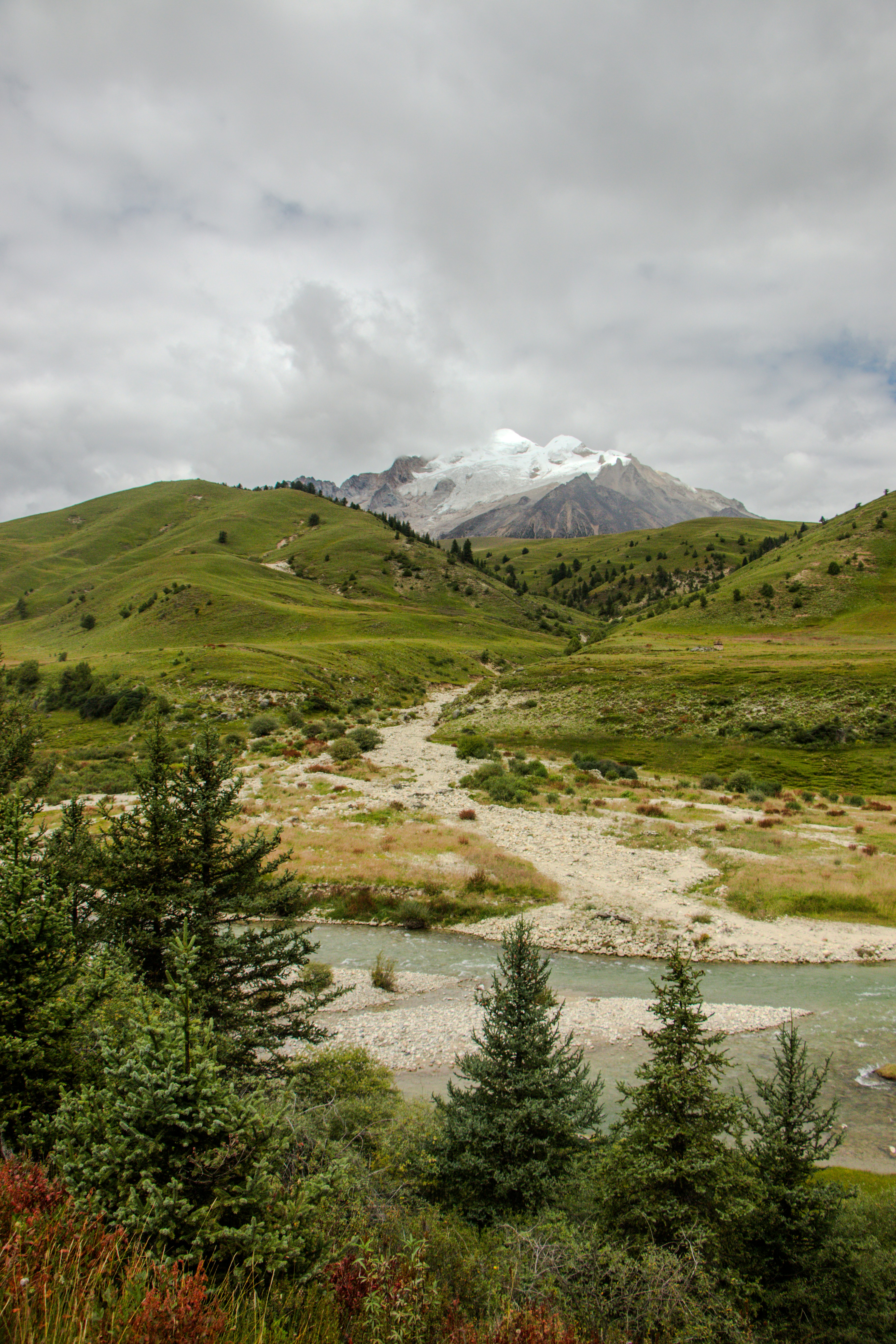 ein Fluss, der durch ein üppig grünes Tal fließt