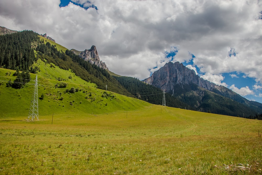 a grassy field with mountains in the background