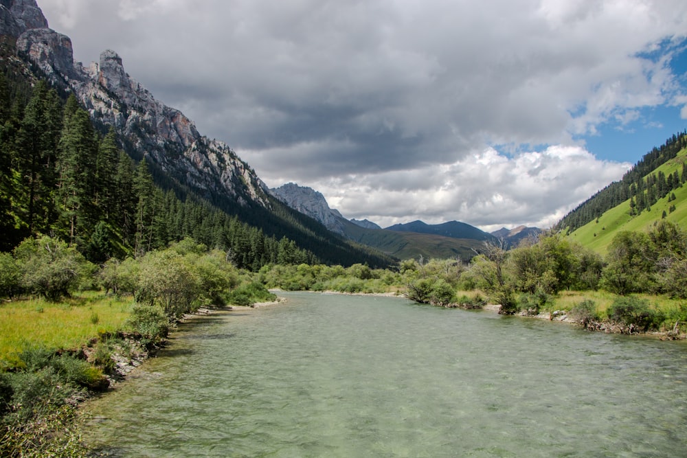 a river running through a lush green valley