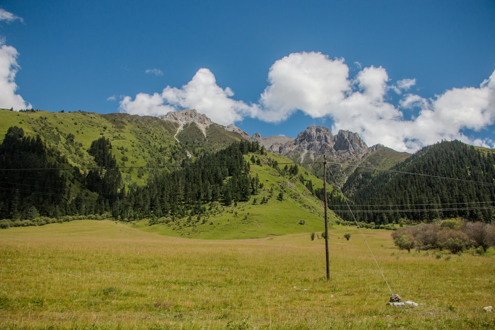 a grassy field with mountains in the background