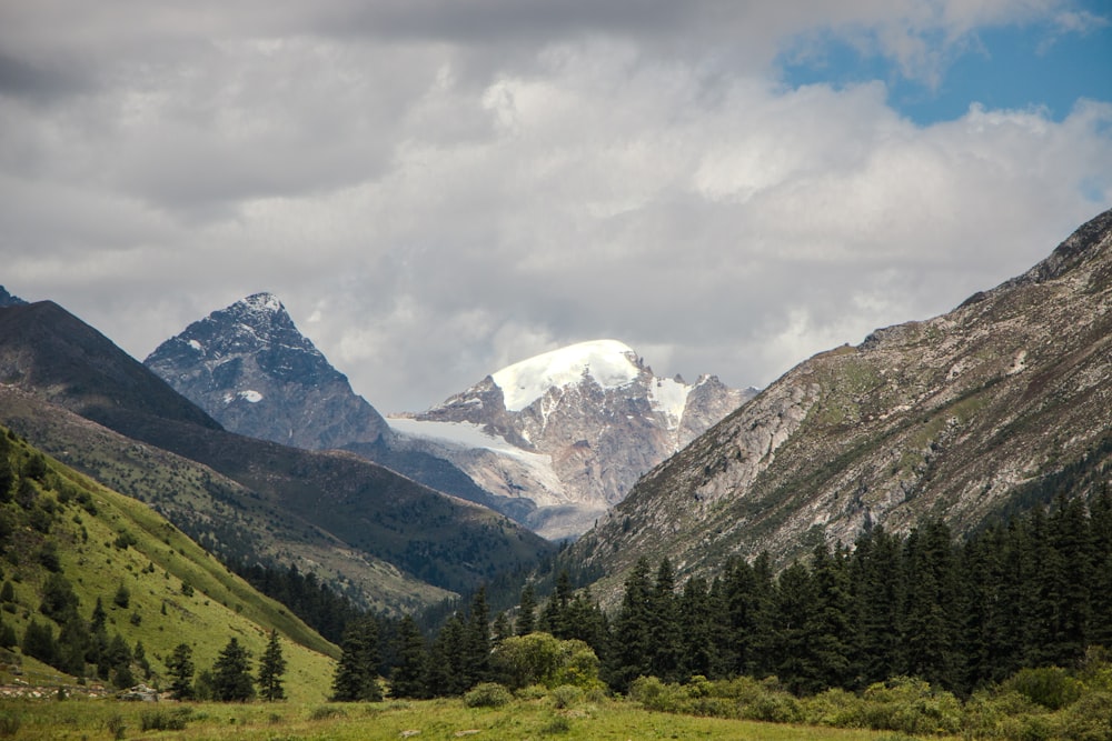 the mountains are covered in snow and green grass