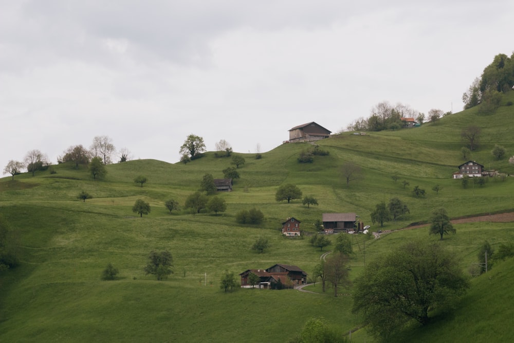 a green hillside with a few houses on it