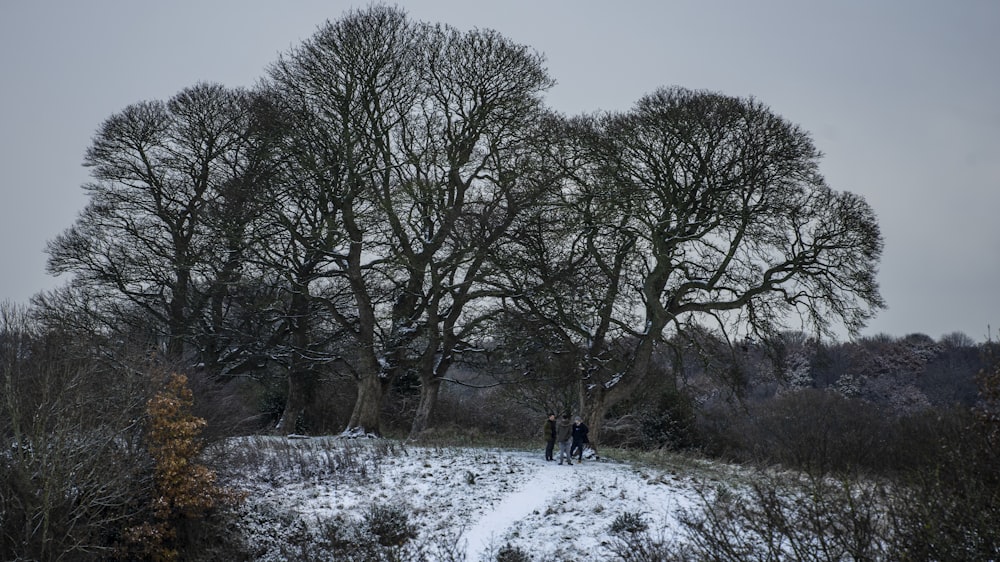 two people standing in the middle of a snowy field