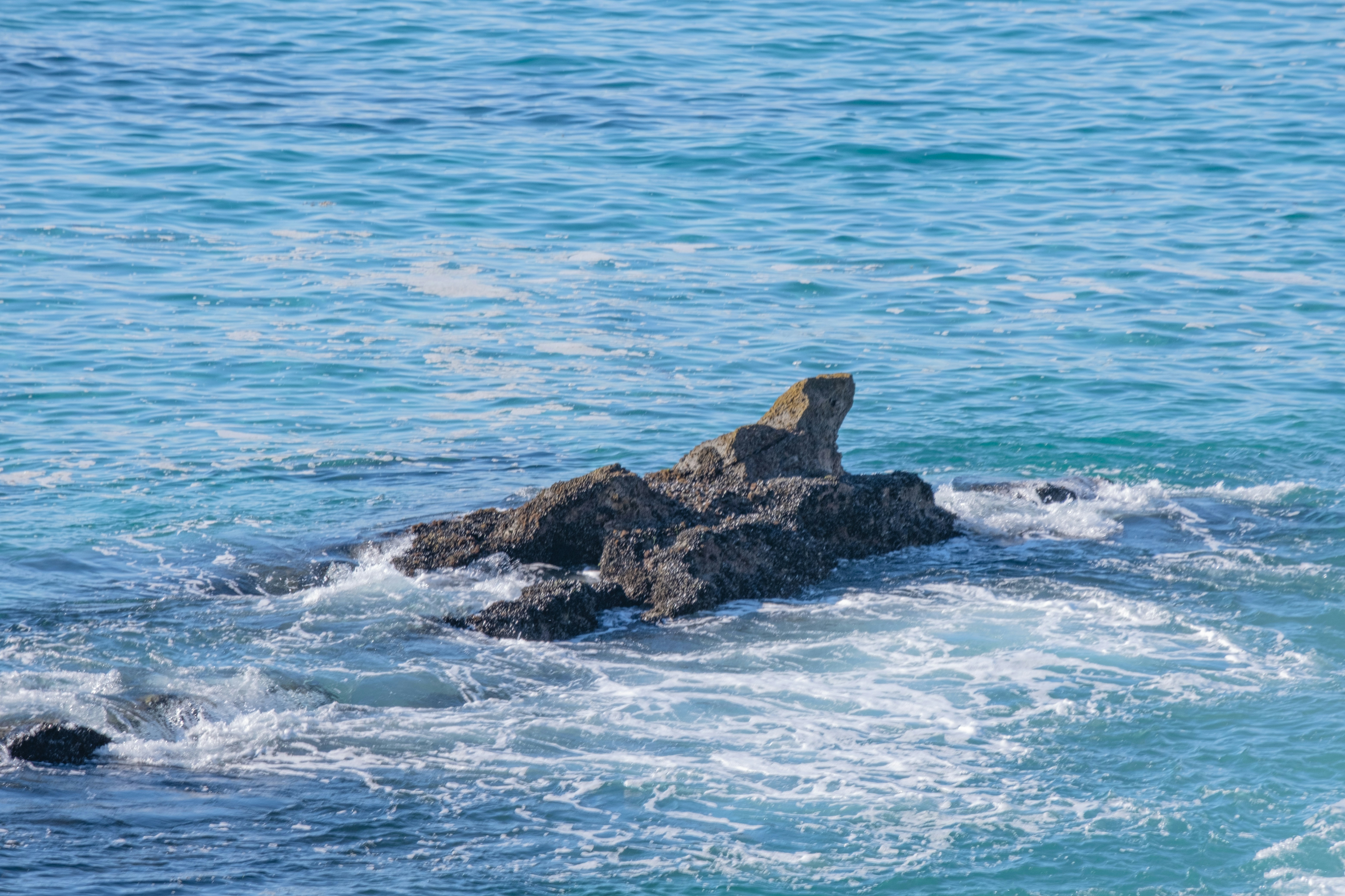 Photo by cestmoisheedy