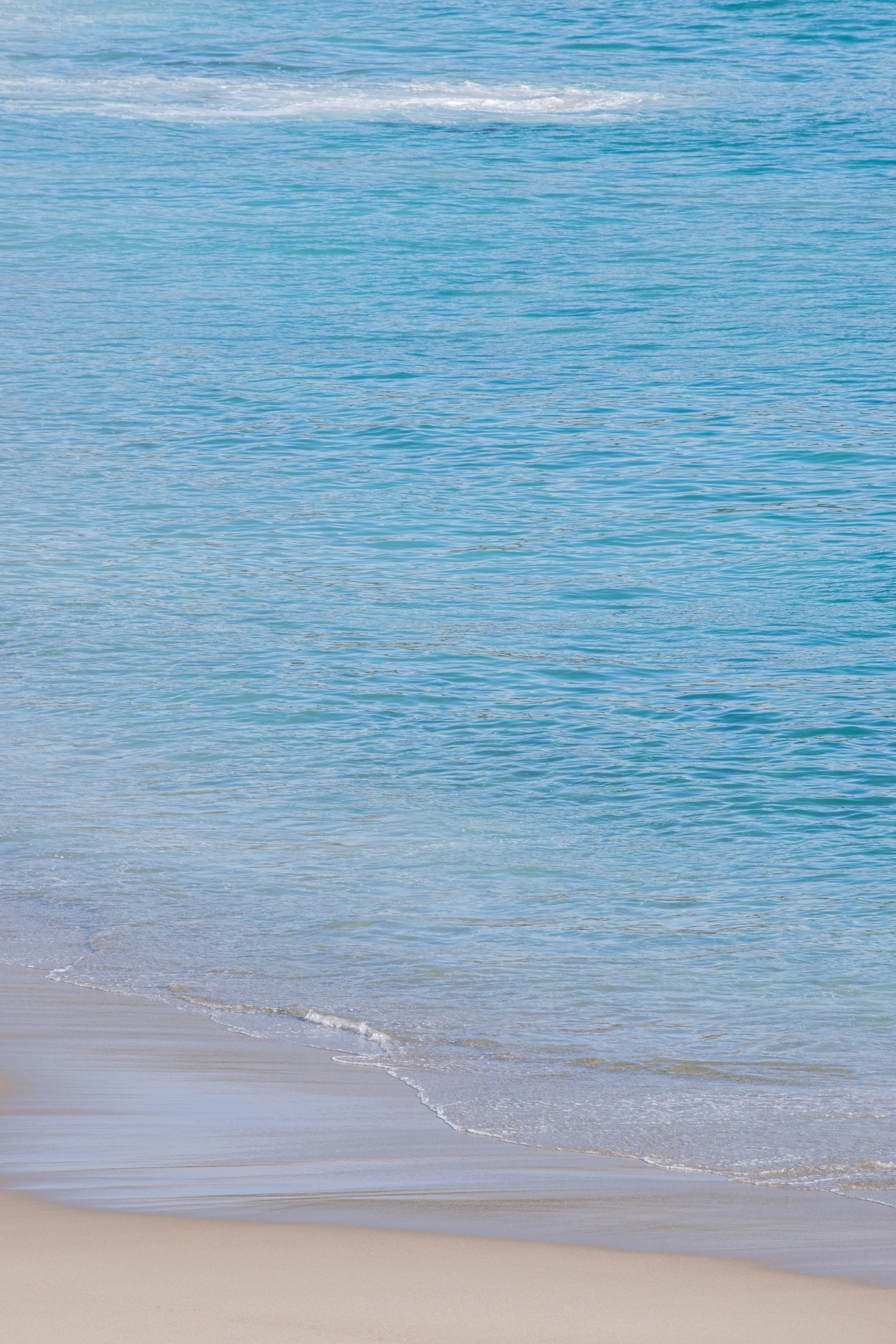 Photo by cestmoisheedy