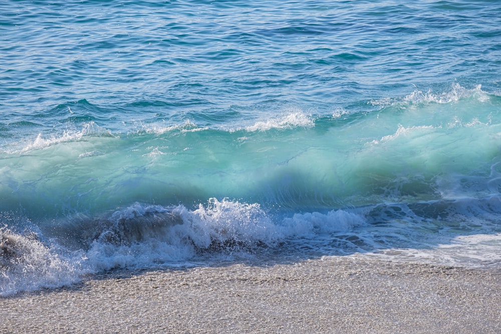 a person standing on a beach next to a body of water