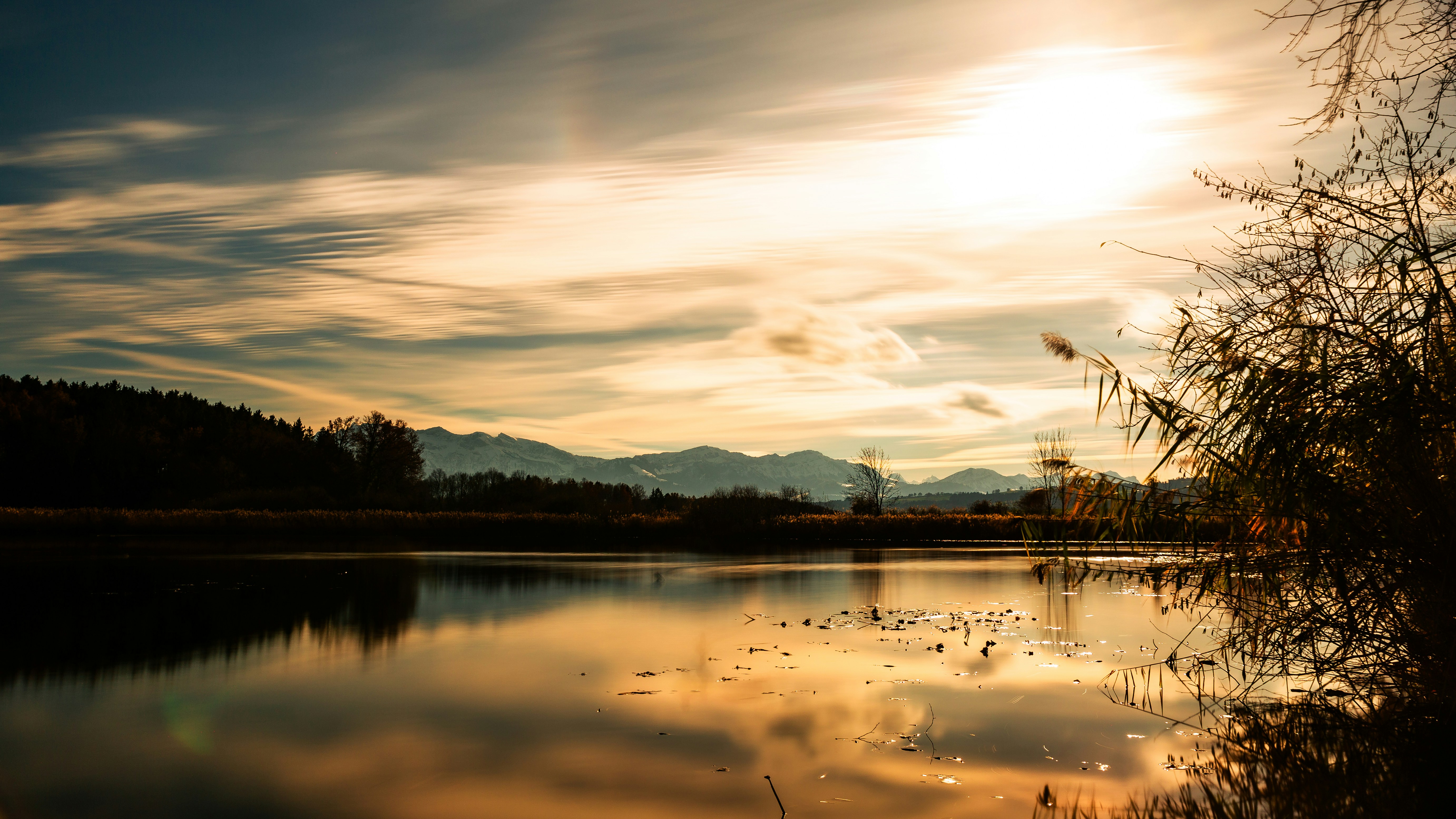 a body of water surrounded by a forest