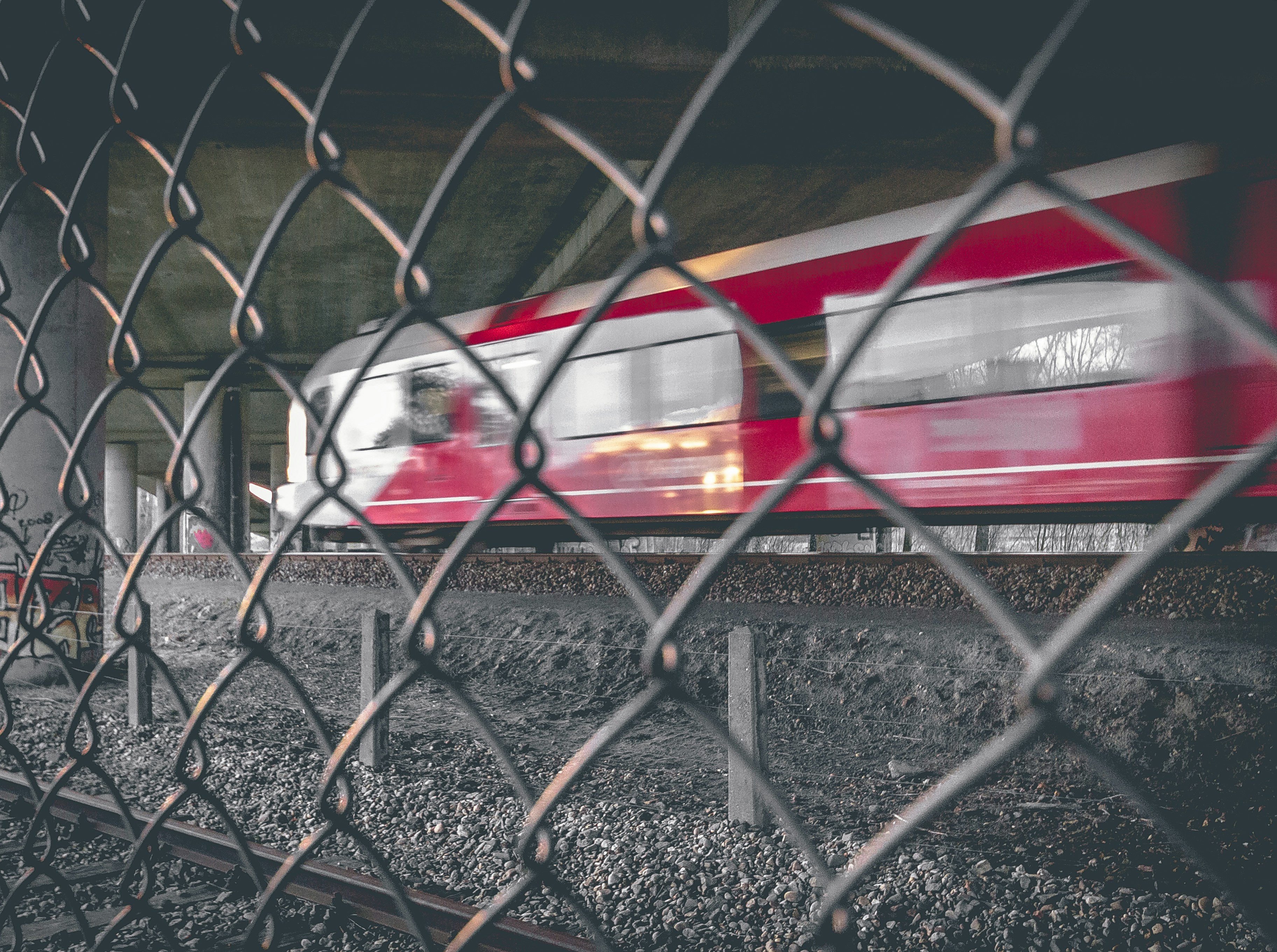 Photo by bdamen