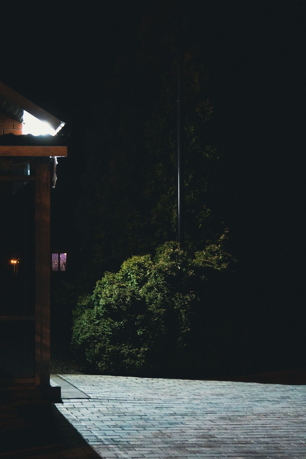 a bench sitting on top of a wooden walkway