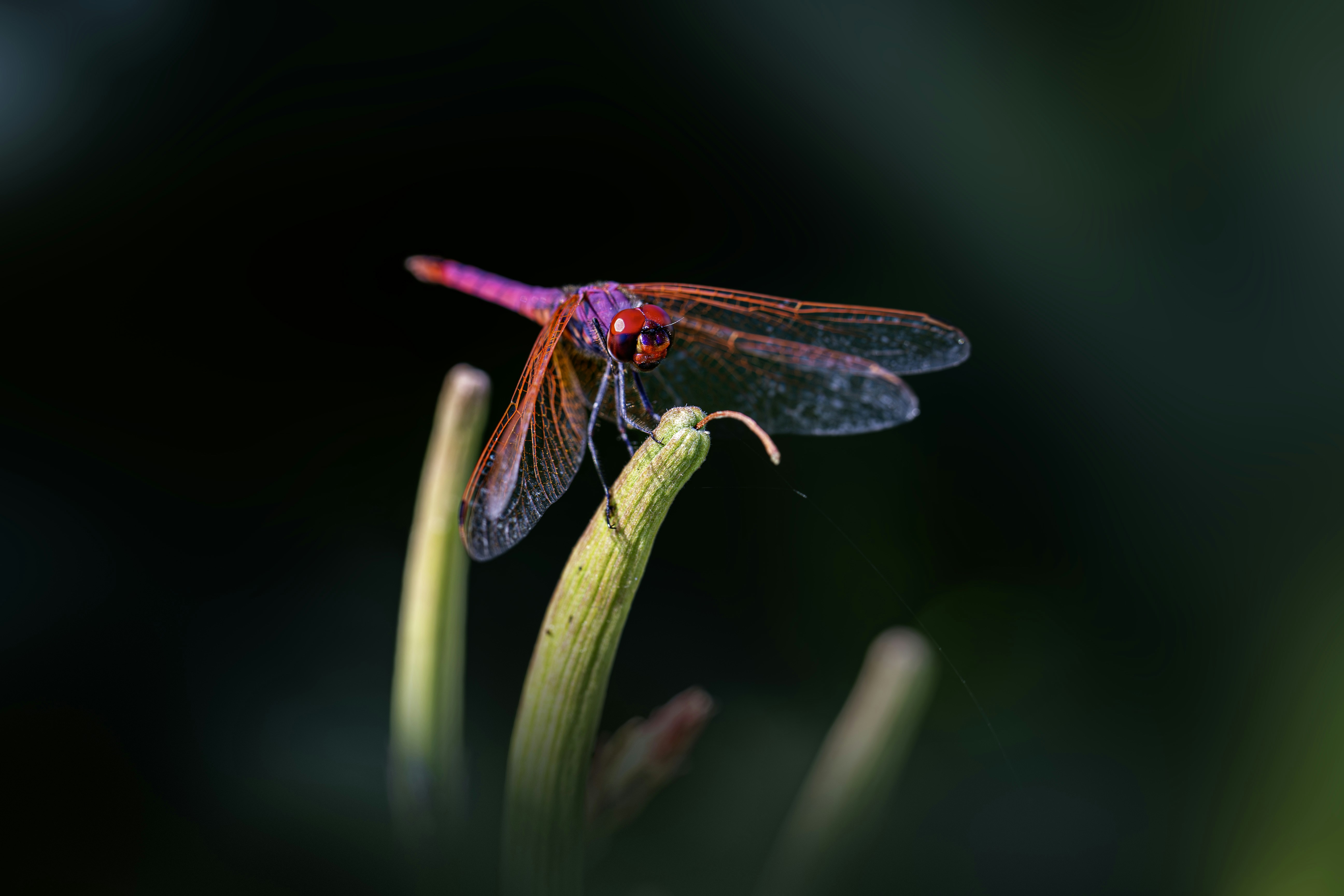 Photo by erik_karits