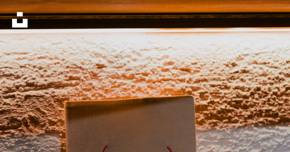 Window Sills Sign A sign that says free the bodies on a window sill photo – Free İstanbul ...
