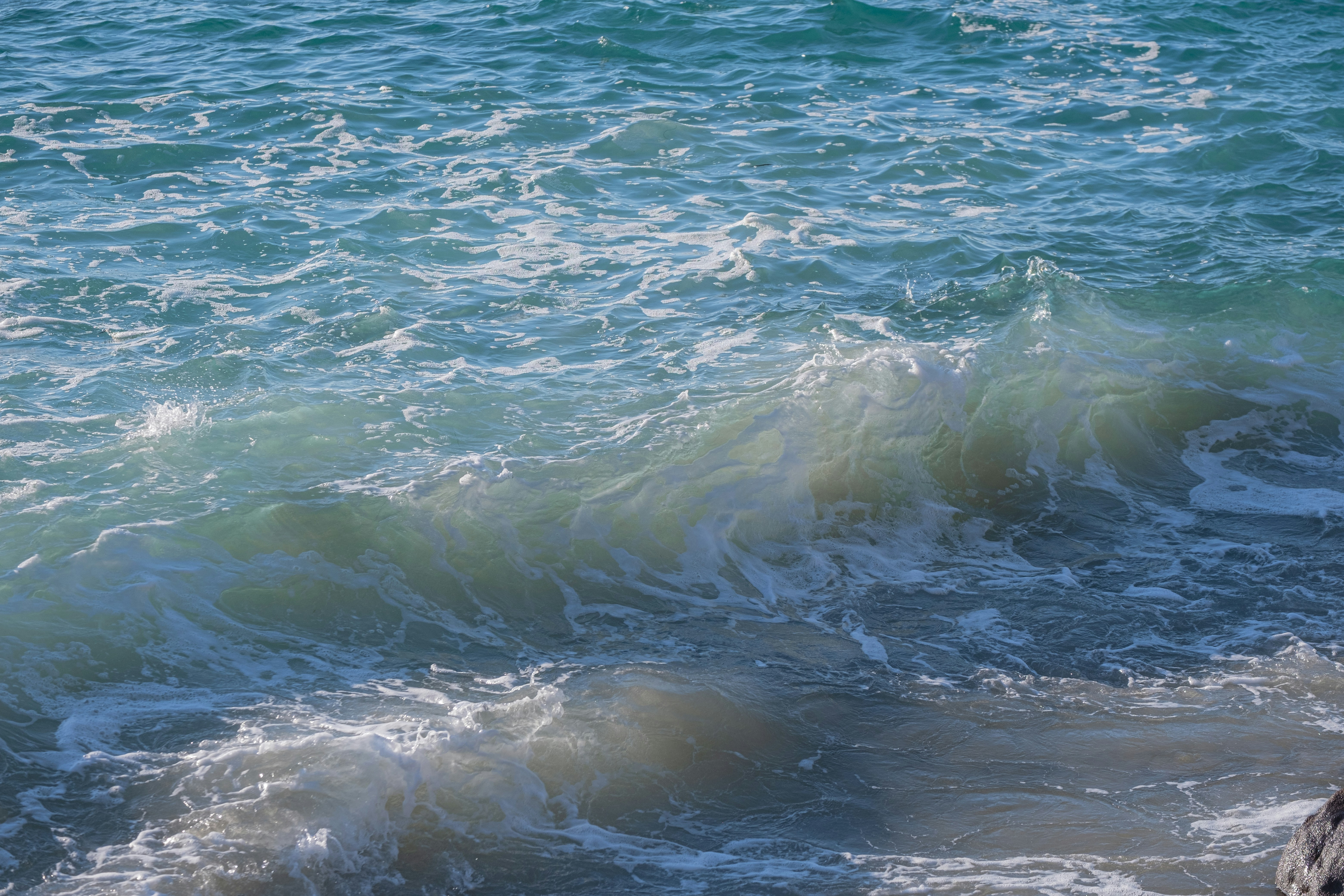 Photo by cestmoisheedy