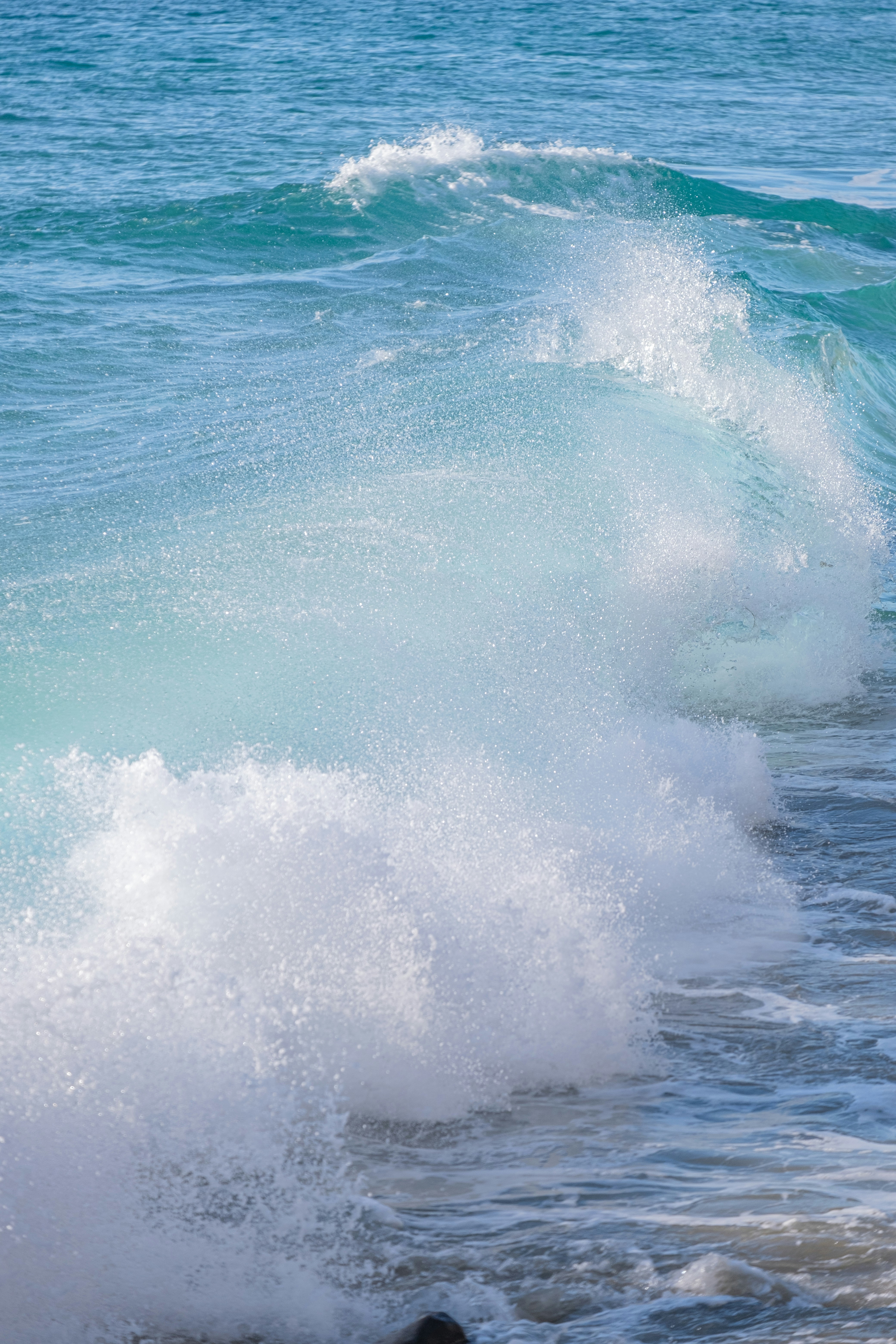 Photo by cestmoisheedy