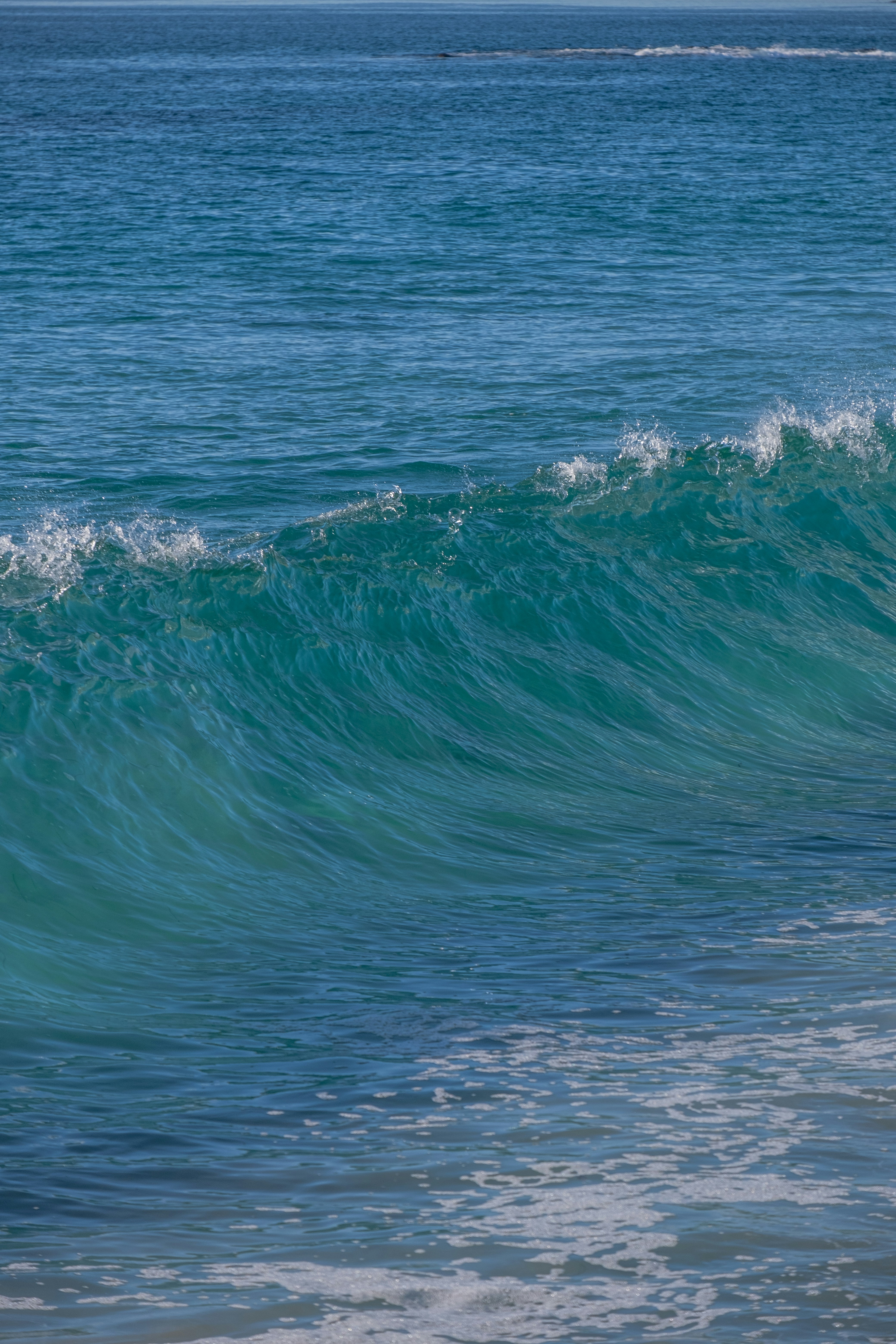 Photo by cestmoisheedy