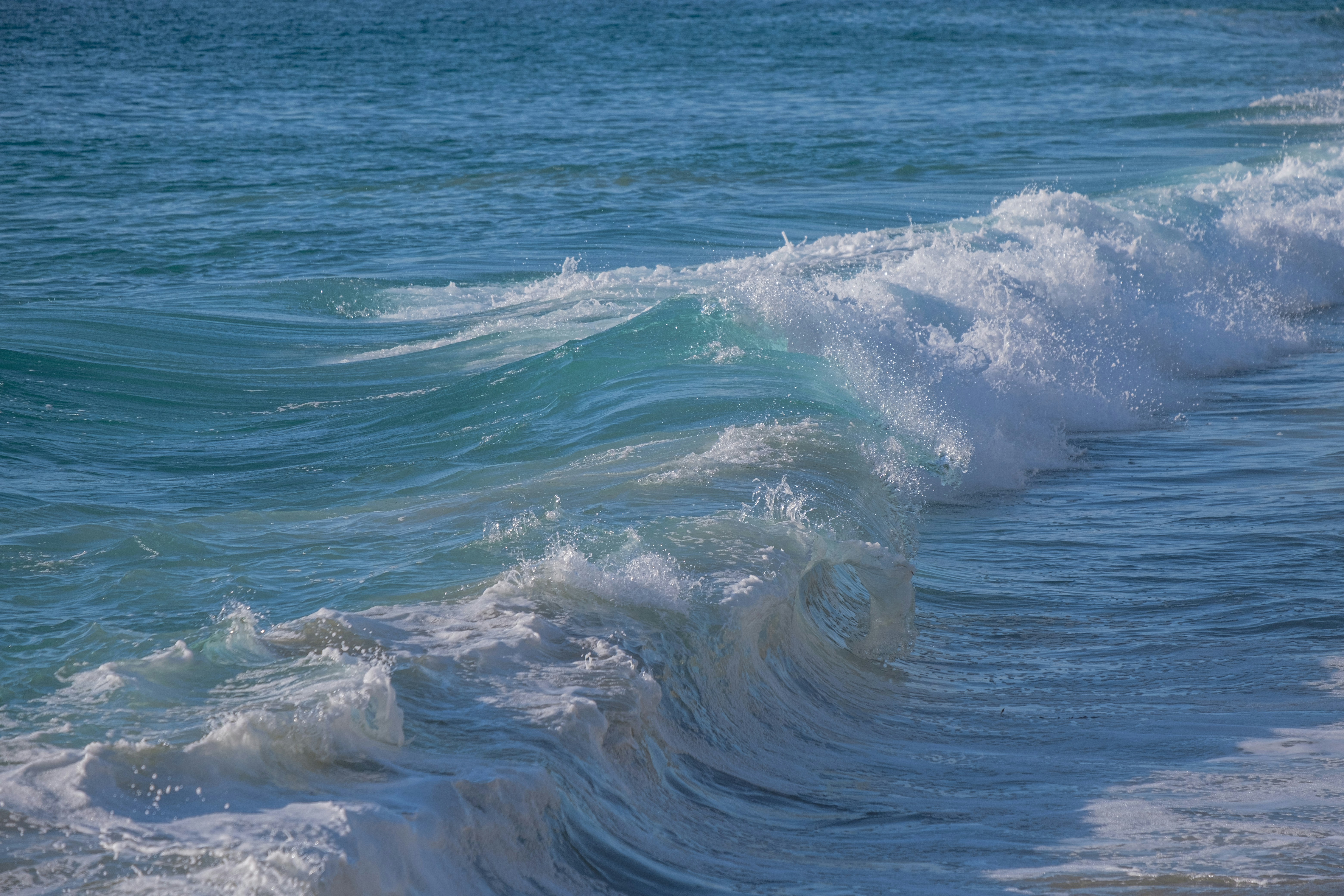 Photo by cestmoisheedy