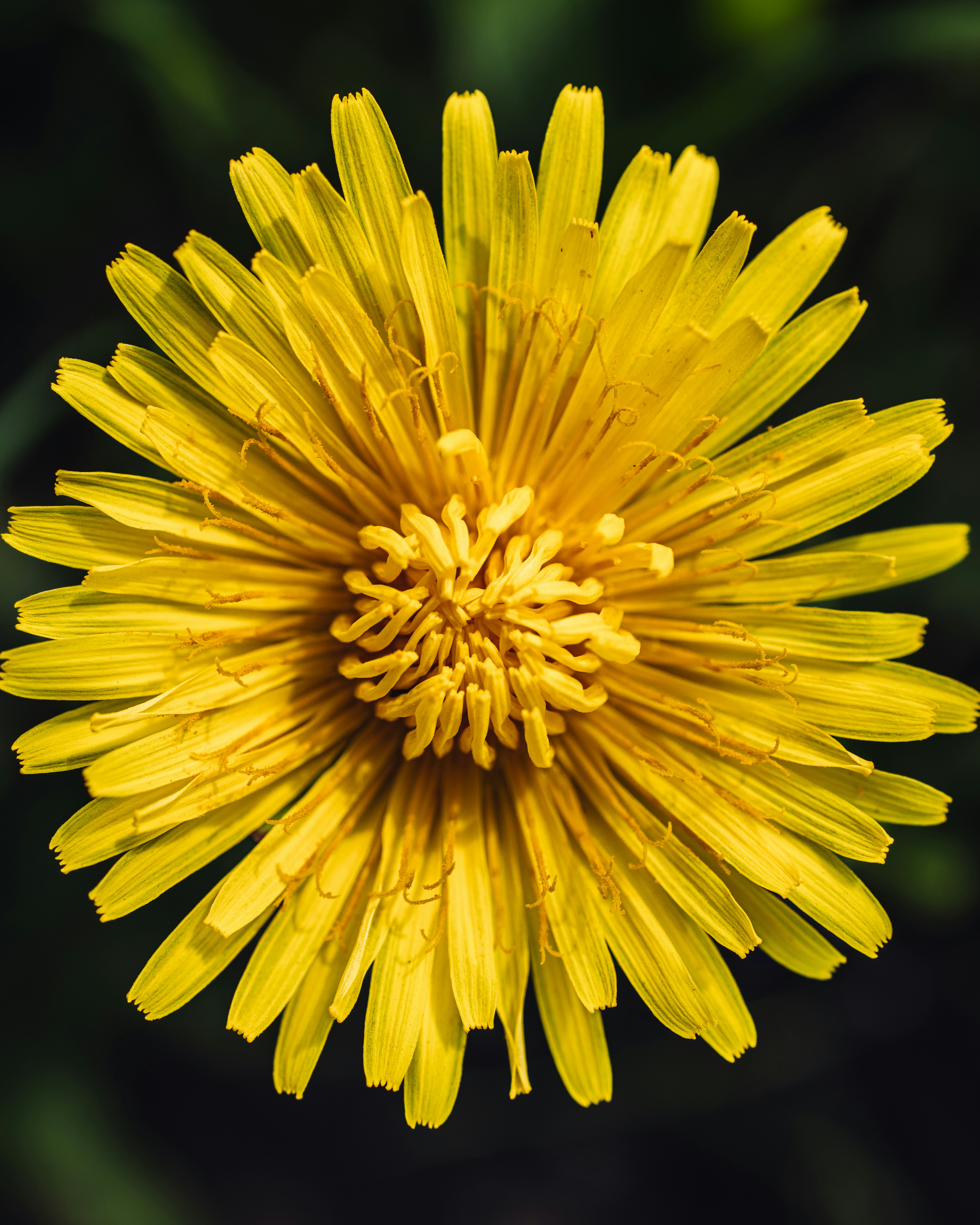 Photo by vadym_chumak