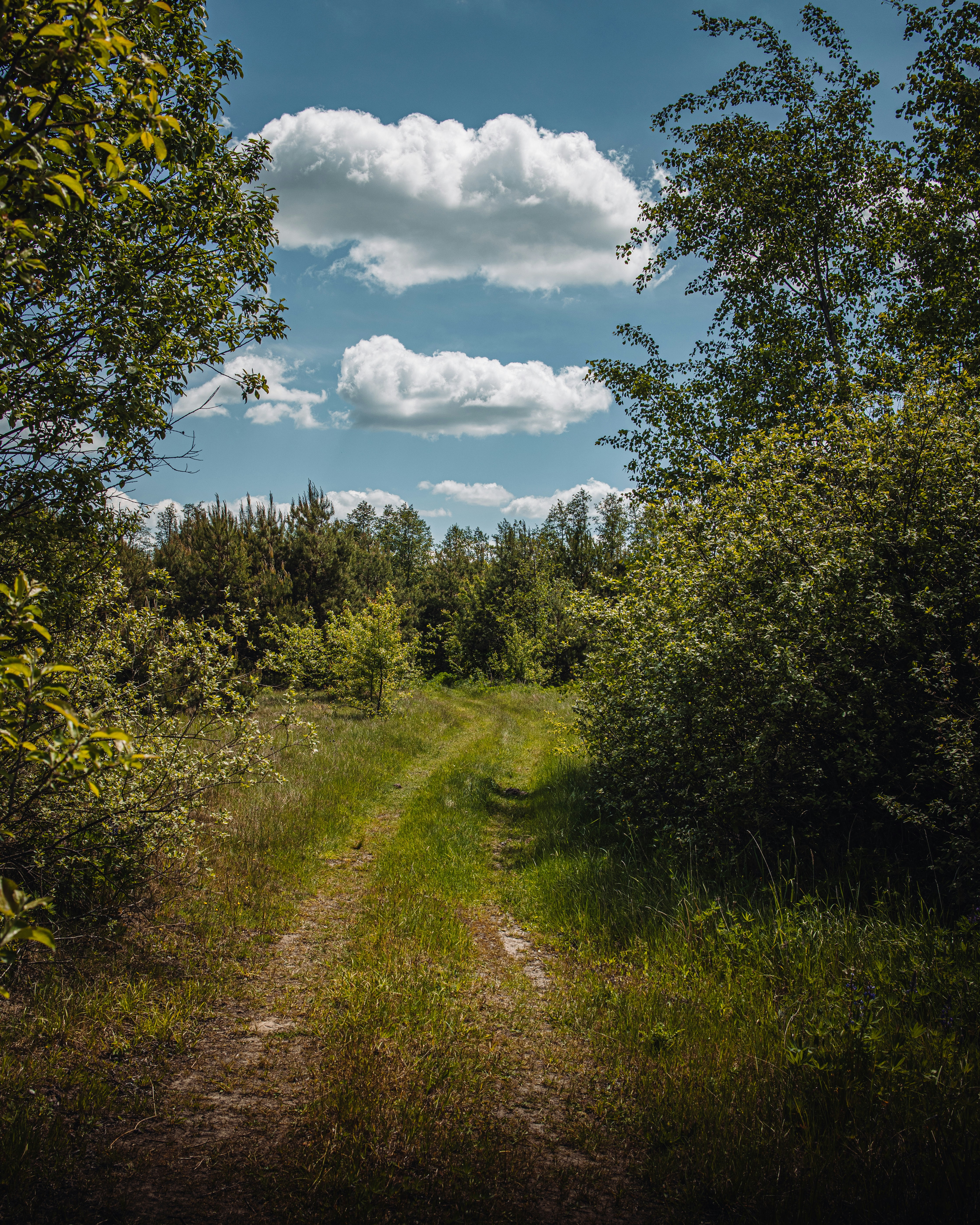 Photo by vadym_chumak