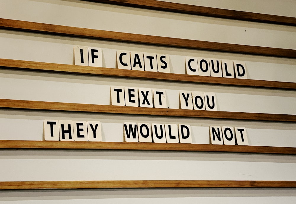 a group of scrabbled wooden letters that read if cats could text you